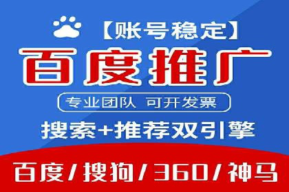 百度竞价代理技巧：经典成功案例解析