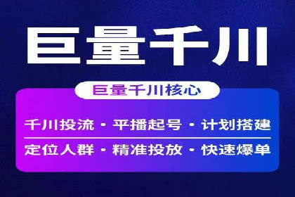 谷歌竞价案例：成功案例分析及启示